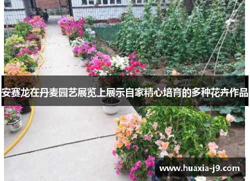 安赛龙在丹麦园艺展览上展示自家精心培育的多种花卉作品